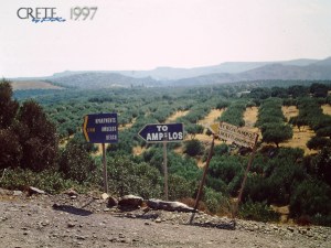 My beautiful picture